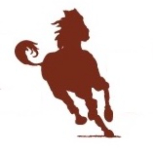 Profile photo of ruggedelegance