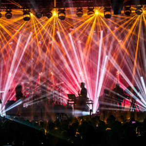 Profile photo of sts9