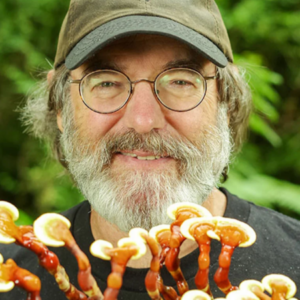 Profile photo of paulstamets