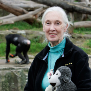 Profile photo of janegoodall